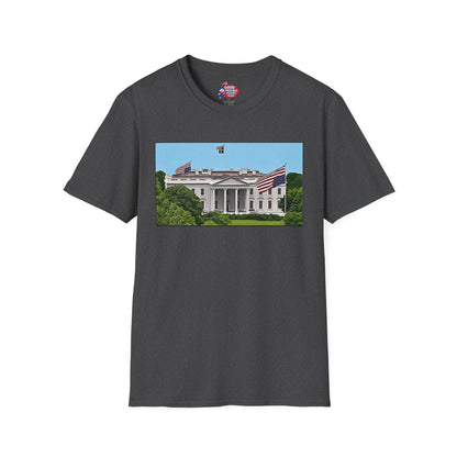 White House Distress T-Shirt D*