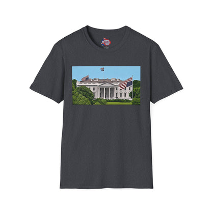 White House Distress T-Shirt D*
